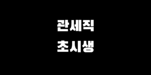 관세직 9급 노베이스 초시생 시험 준비 인강 실강 선택 가이드