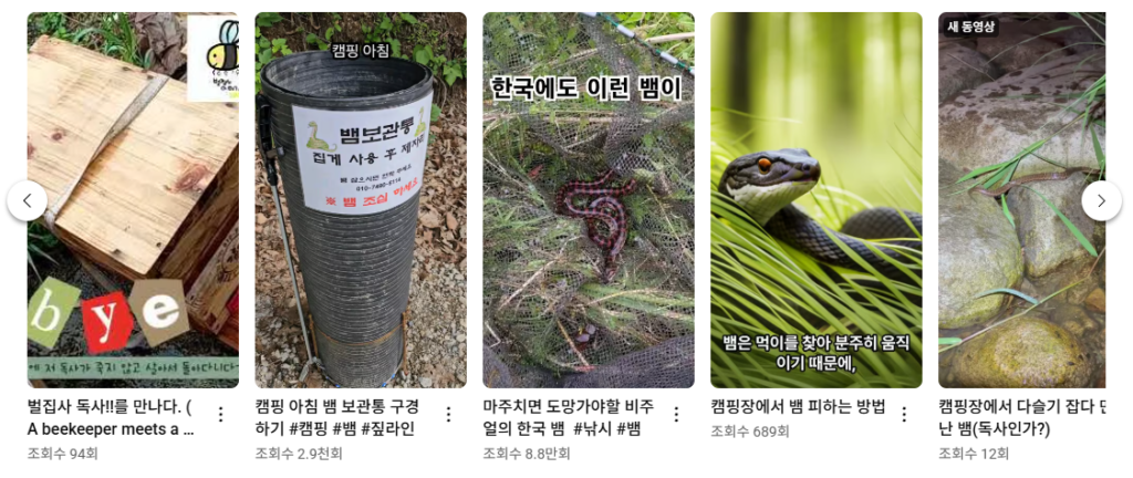 섬 여행 캠핑장 뱀 독사 퇴치용품 중요성 설명 