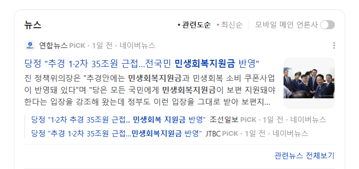 민생지원금 추경