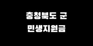 민생회복지원금 보은 옥천 영동 증평 진천 괴산 음성 단양군 쿠폰 받는 법