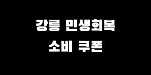 강릉시 민생회복 소비쿠폰 신청 지원금 받는 방법