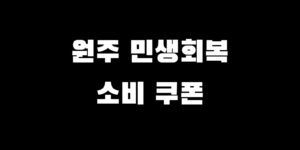 원주시 민생회복 소비쿠폰 신청 지원금 받는 방법 A to Z 총정리