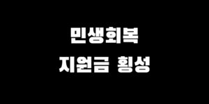 횡성 민생회복 소비쿠폰 신청 지원금 받는 방법 대상 금액 기간