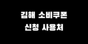 김해 민생회복 소비쿠폰 신청 전국민 지원금 받는 법 사용처 총정리
