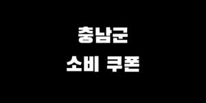 민생회복지원금 금산 부여 서천 청양 홍성 예산 태안 소비 쿠폰 신청 받는 법