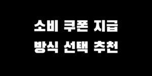 민생회복 전국민 소비쿠폰 지급 방식 지역화폐 선불 체크 신용카드 선택 가이드
