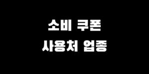 민생회복 전국민 소비쿠폰 사용처 지원금 불가 업종 가맹점 확인 총정리