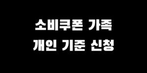 민생회복 지원금 소비쿠폰 가구당 인당 가족 개인 지급 기준 방식 신청