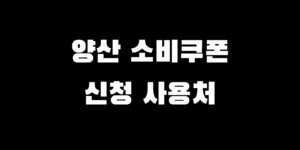 양산 민생회복 소비쿠폰 지급액 지원금 신청 방법 날짜 시기 놓치면 0원?