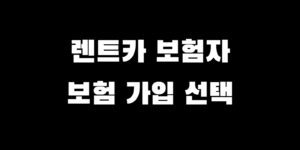 렌트카 여행자 보험 가입 필수? 종류 가격 선택 추천 가이드