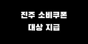 진주 민생회복지원금 전국민 소비쿠폰 25만 원 대상 지급 접수일 사용처