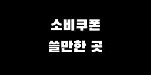 전국민 민생회복 소비쿠폰 쓸만한 곳 추천 25만 원 뭘 사면 좋을까?