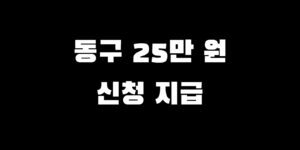 인천 동구 전국민 지원금 언제 신청 소비쿠폰 얼마 기간 방법