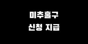 인천 미추홀구 소비쿠폰 언제 신청 전국민 지원금 얼마 방법