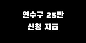 인천 연수구 전국민 소비쿠폰 추가금 지급 언제 신청 방법