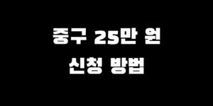 인천 중구 소비쿠폰 언제 신청 전국민 지원금 얼마 기간 방법