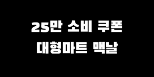 민생회복지원금 대형마트 맥도날드 결제 가능? 사용처 찾는 법