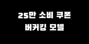 민생회복지원금 모텔 버거킹 결제 가능?! 사용처 조회 찾는 법