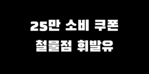 민생회복지원금 철물점 휘발유 결제 가능?! 사용처 조회 찾는 법