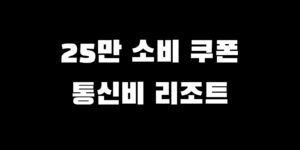 민생회복지원금 통신비 리조트 소비쿠폰 가능 사용처 찾는 법