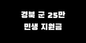 민생회복지원금 성주 칠곡 예천 봉화 울진 울릉군 지급액 신청 방법