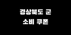 민생회복지원금 의성 청송 영양 영덕 청도 고령군 지급액 신청 방법
