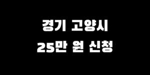 경기도 고양시 전국민 소비쿠폰 추가금 얼마 수령 신청 언제
