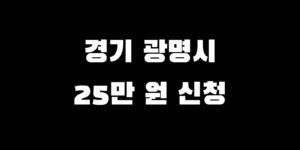 경기 광명시 전국민 소비쿠폰 추가금 얼마 언제 신청받는 법