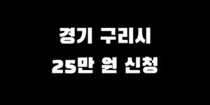 경기 구리시 전국민 소비쿠폰 언제 신청 추가금 얼마 받는 법