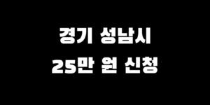 경기도 성남시 전국민 소비쿠폰 신청 언제 추가금 얼마 수령