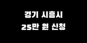 경기 시흥시 전국민 소비쿠폰 추가금 얼마 언제 신청받는 법