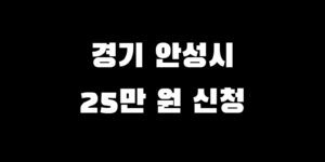경기 안성시 전국민 소비쿠폰 언제 신청 추가금 얼마 받는 법