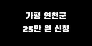 연천 가평군 전국민 소비쿠폰 지급 얼마 추가금 신청 언제