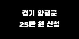 경기도 양평군 전국민 소비쿠폰 지급 얼마 추가금 신청 언제