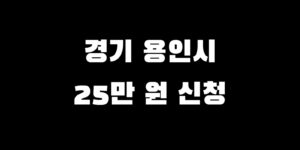 경기도 용인시 전국민 소비쿠폰 신청 언제 추가금 얼마 수령