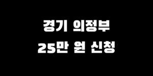 경기 의정부 전국민 소비쿠폰 추가금 얼마 언제 신청받는 법