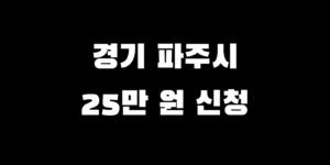 경기 파주시 전국민 소비쿠폰 추가금 얼마 언제 신청받는 법
