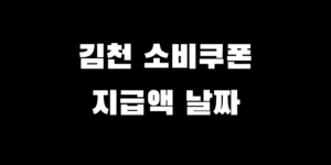김천 민생회복지원금 신청 소비쿠폰 지급액 시기 얼마 언제 받나?