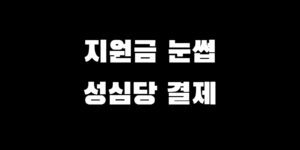 민생지원금 눈썹문신 결제 소비쿠폰 성심당 사용 가능할까?