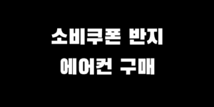 민생지원금 반지 구매 전국민 소비쿠폰 에어컨 결제 가능할까?