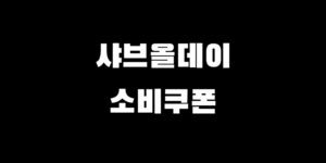 민생지원금 샤브올데이 결제 소비쿠폰 사용처 확인 방법