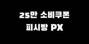 민생회복지원금 피시방 PX 소비쿠폰 가능?! 사용처 찾는 법