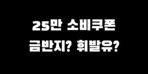 민생회복지원금 주유소 금은방 사용처 가능 가맹점 검색 찾는 법
