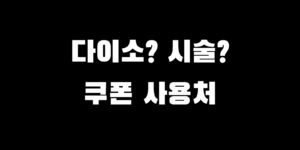 민생회복지원금 피부과 다이소 사용처 이용 가맹점 찾는 법
