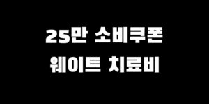 민생회복지원금 헬스장 병원 사용처 이용 가맹점 찾는 법