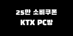 민생회복지원금 ktx pc방 사용처 확인 가맹점 찾는 법