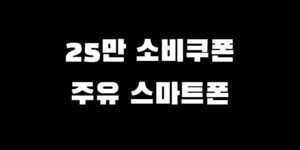 민생회복지원금 기름 주유 핸드폰 구매 가능? 지역 사용처 찾는 법