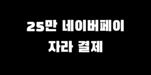 민생회복지원금 네이버페이 사용 소비쿠폰 자라 결제 가능?