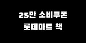 민생회복지원금 롯데슈퍼 사용 소비쿠폰 책 결제 가능?