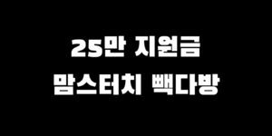 민생회복지원금 맘스터치 결제 소비쿠폰 빽다방 사용 가능?